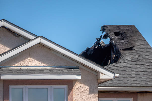 Top rated local Odor Removal specialists in Sandy Spring, MD